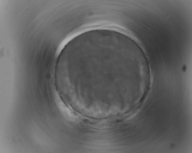 X0000111161530200907211215