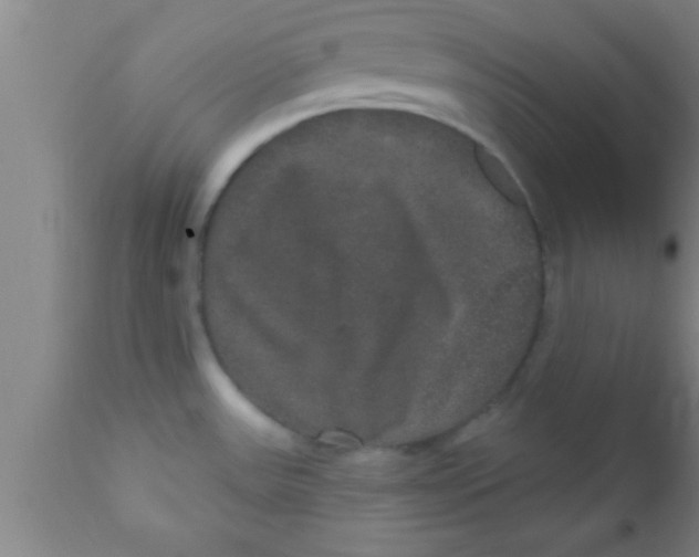 X0000111161531200907211215