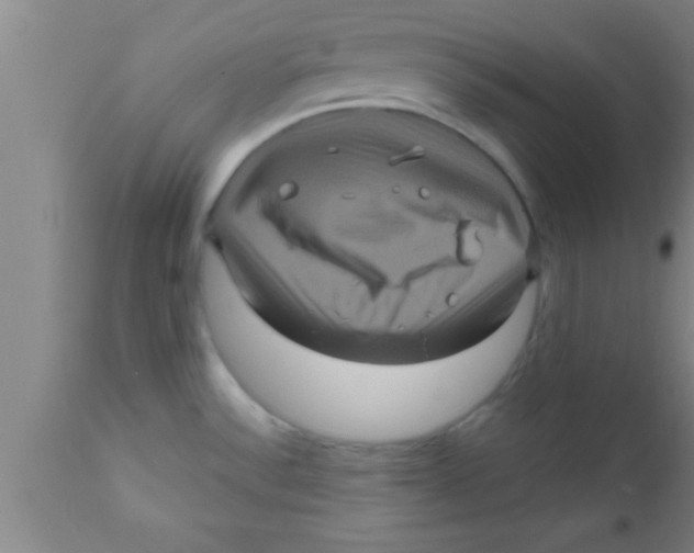 X0000111161532200907211215