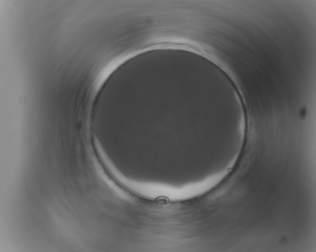 X0000111161533200907211215