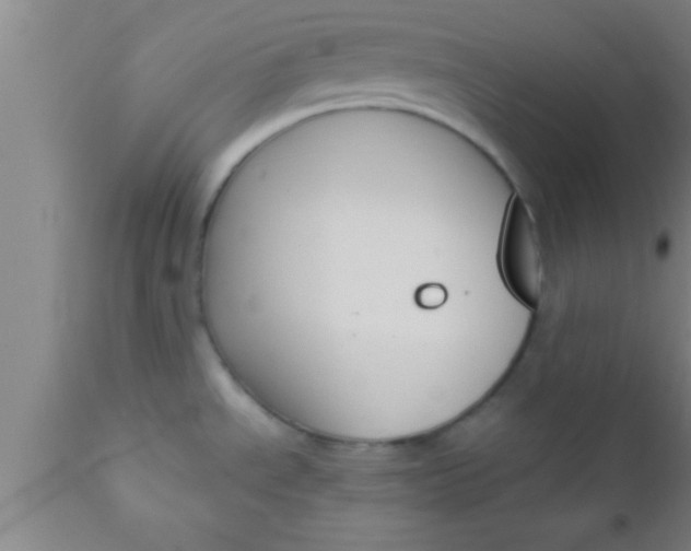 X0000111161534200907211215