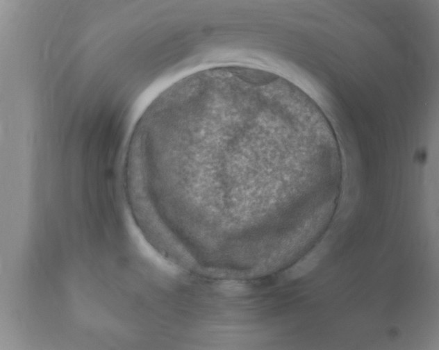 X0000111161536200907211215