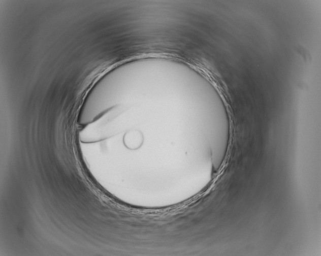 X0000111160001200907281203