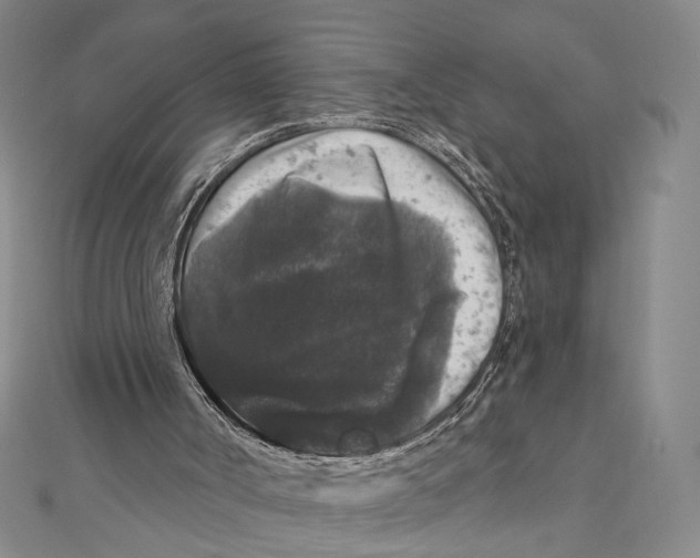 X0000111160002200907281203