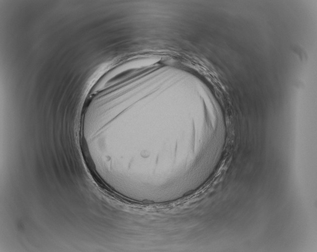 X0000111160003200907281203