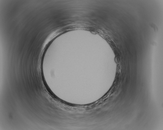 X0000111160004200907281203