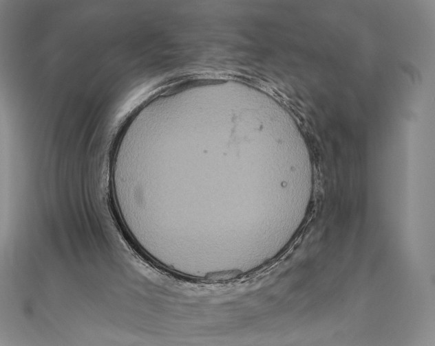 X0000111160005200907281203