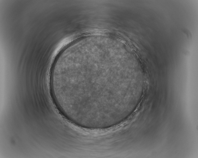 X0000111160006200907281203