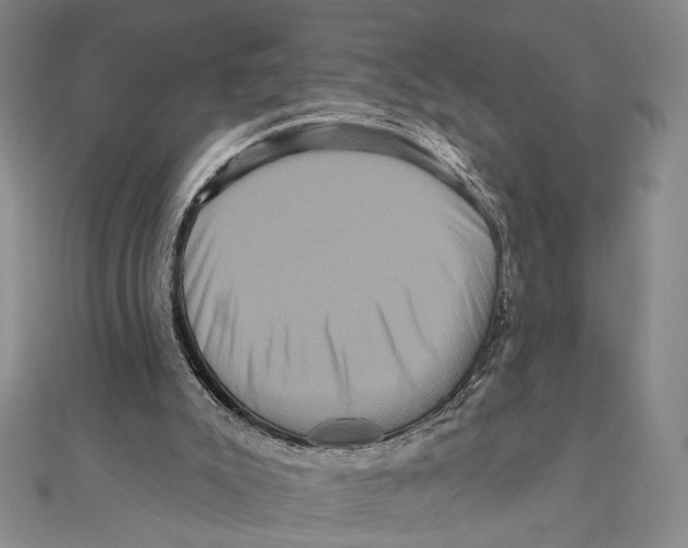 X0000111160007200907281203