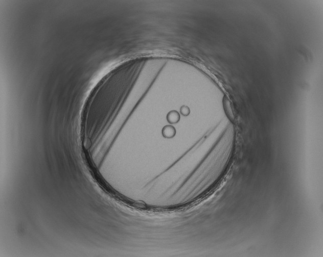 X0000111160008200907281203