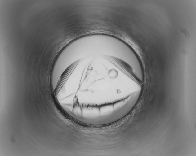 X0000111160009200907281203
