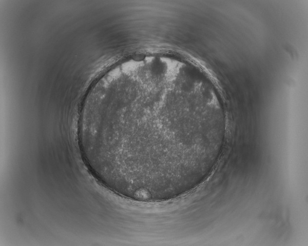 X0000111160010200907281203