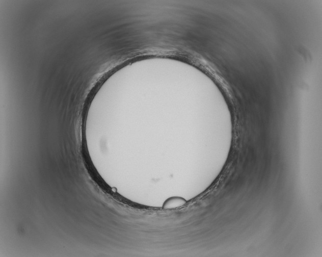 X0000111160011200907281203