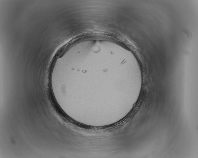 X0000111160012200907281203