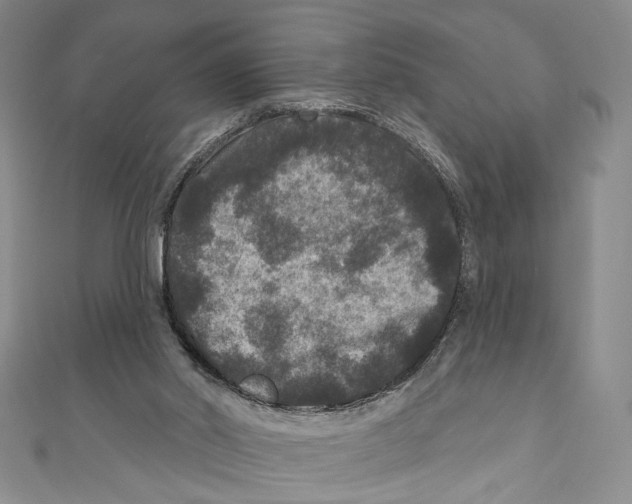 X0000111160014200907281202