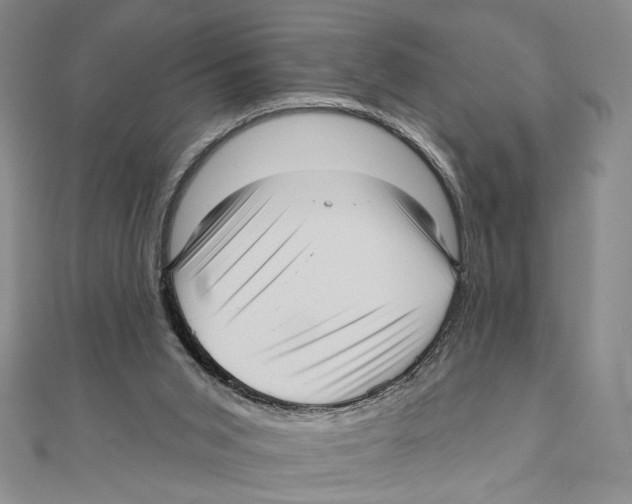 X0000111160015200907281202