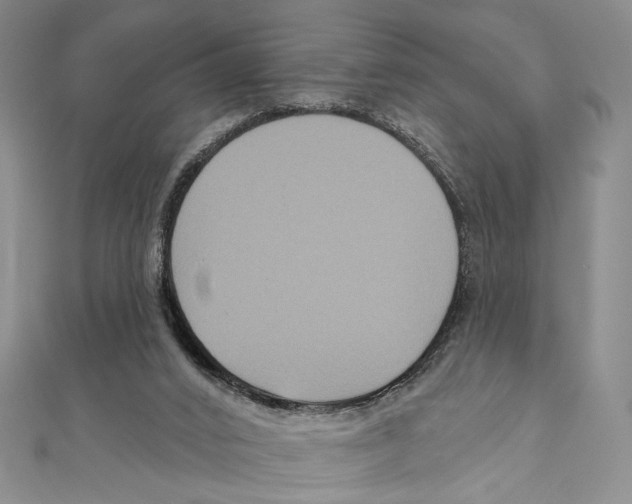 X0000111160016200907281202