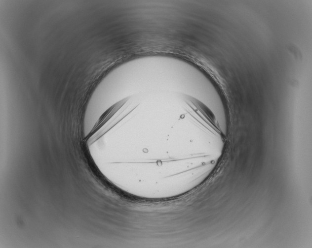 X0000111160017200907281202
