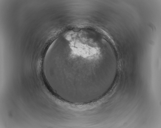 X0000111160018200907281202