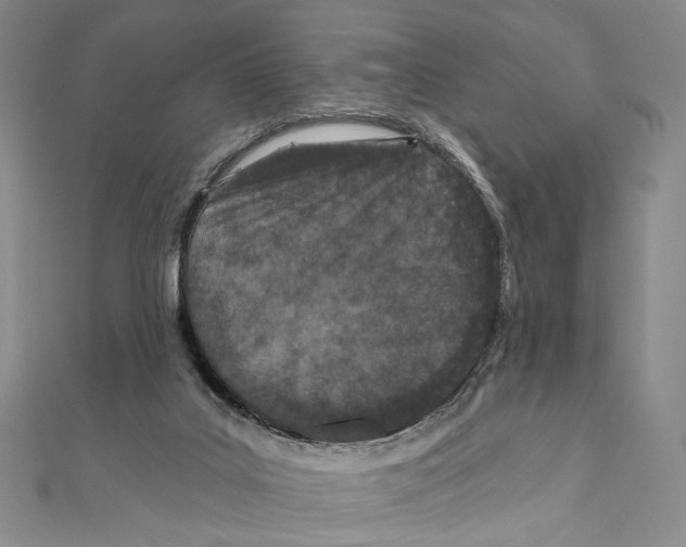 X0000111160019200907281202