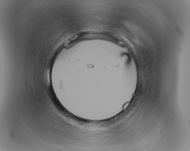 X0000111160020200907281202
