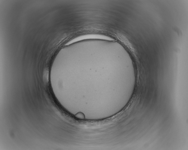 X0000111160021200907281202