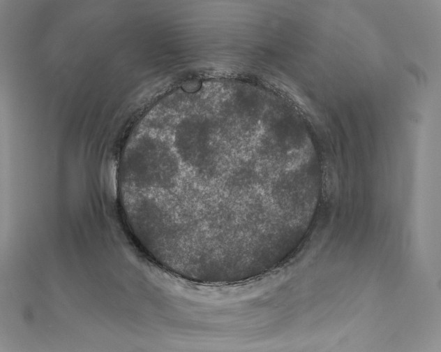 X0000111160022200907281202