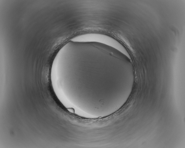 X0000111160023200907281202