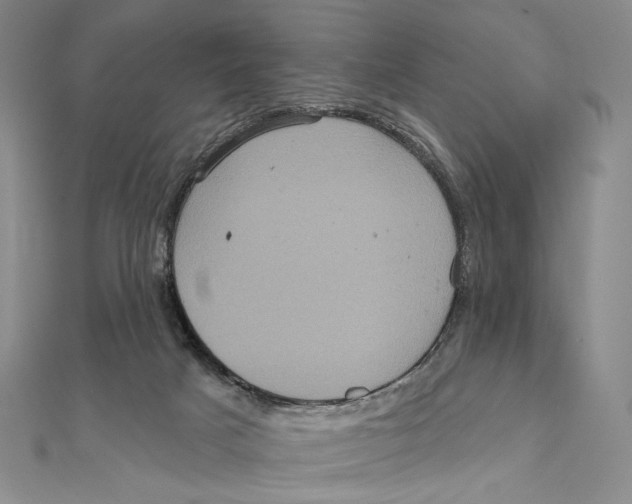 X0000111160025200907281202
