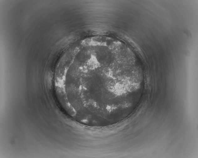 X0000111160026200907281202