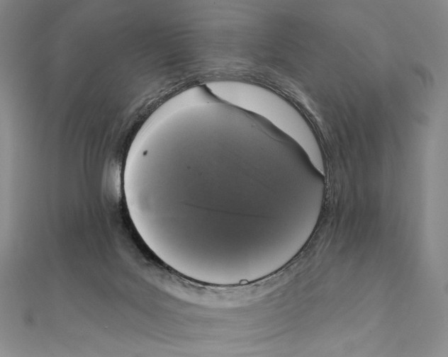 X0000111160027200907281202