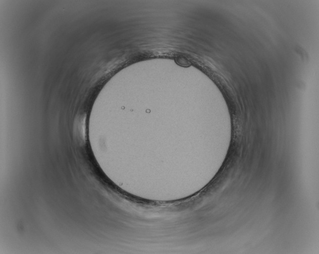 X0000111160028200907281202