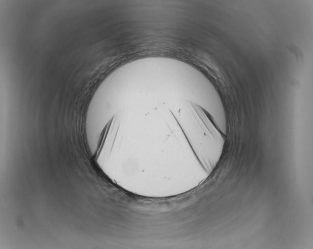 X0000111160029200907281202