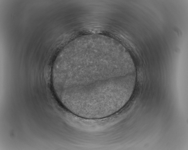 X0000111160030200907281202