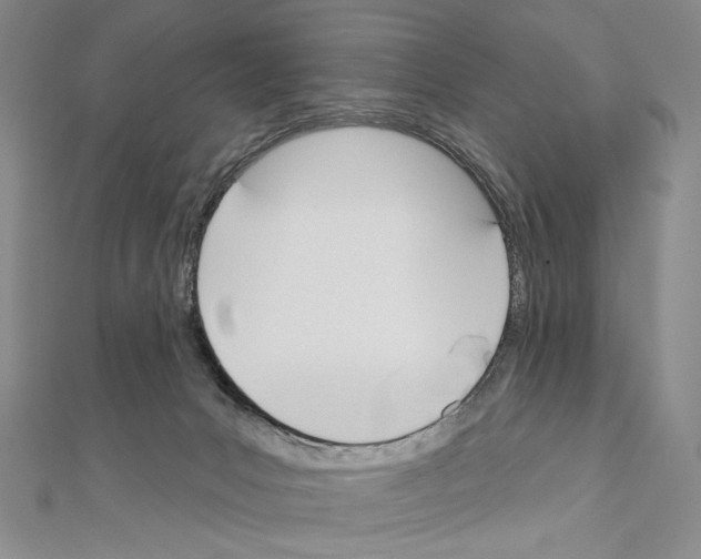 X0000111160031200907281202