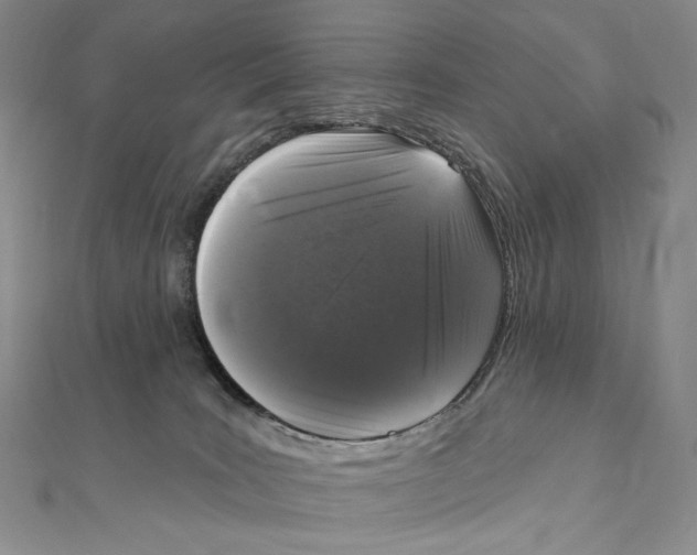 X0000111160035200907281202