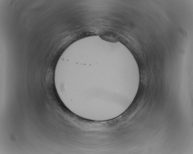 X0000111160036200907281202