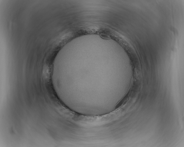 X0000111160037200907281202