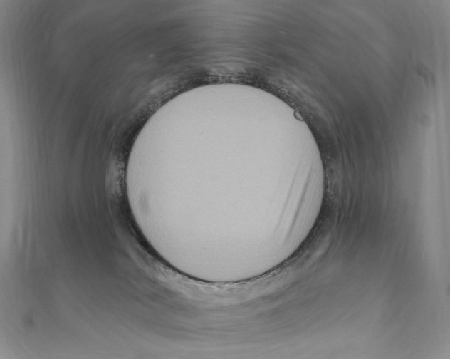 X0000111160038200907281202
