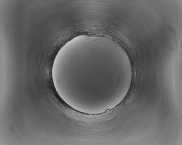 X0000111160039200907281202