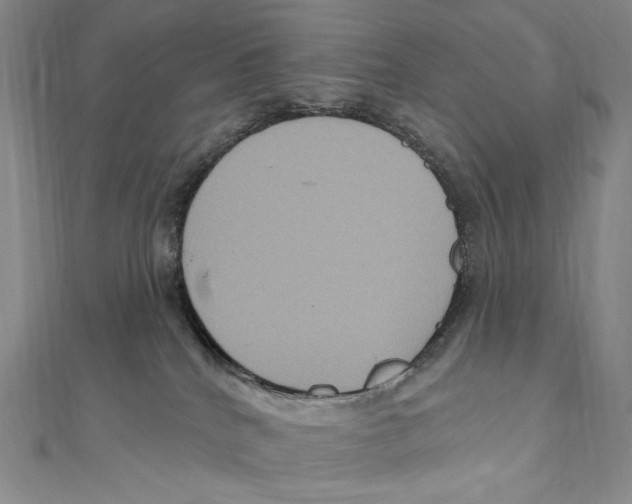 X0000111160040200907281202
