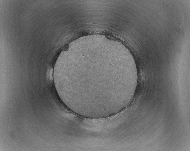 X0000111160041200907281202