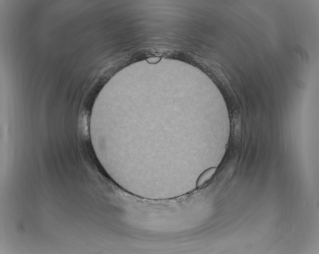 X0000111160042200907281202