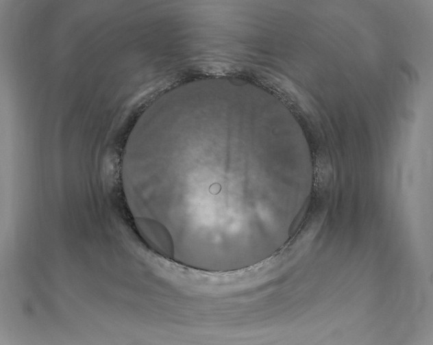 X0000111160043200907281202