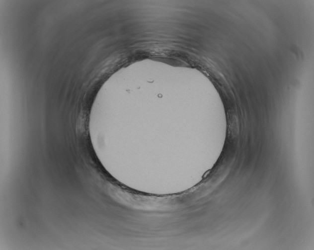 X0000111160044200907281202