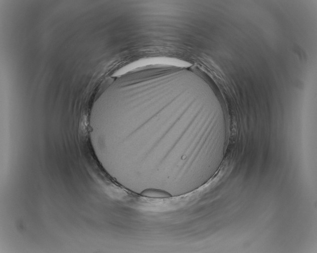 X0000111160045200907281202
