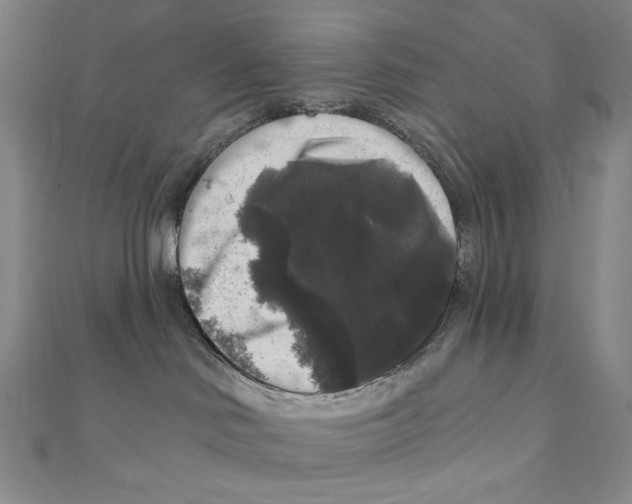 X0000111160046200907281202