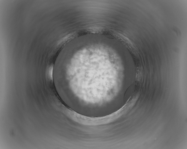 X0000111160047200907281202
