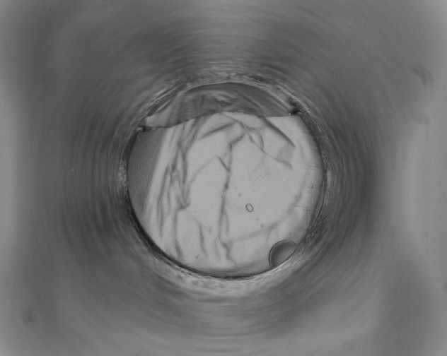 X0000111160048200907281202