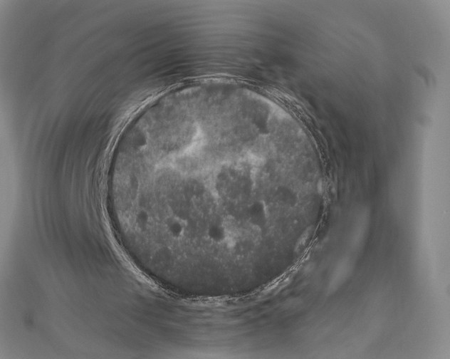 X0000111160049200907281201